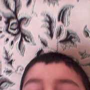 ���������� ������, ���� ������� �����, 29 ���, ������������ ��� ������, ����� � ���������, c�������� ���������