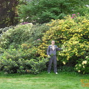 ���������� ������, ���� ������� ����, 43 ����, ������������ 