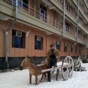 ���������� �������, ���� ������� ������, 33 ����, ������������ 