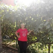  --,   , 60 ,   ,   