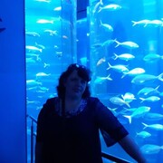  -,   , 56 ,   c 