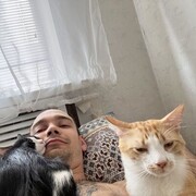 ���������� ������-��-����, ���� ������� ������, 29 ���, ������������ ��� ������, ����� � ���������