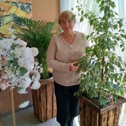  ,   , 62 ,   ,   , c 