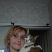 ���������� ������, ���� ������� �������, 53 ����, ������������ 