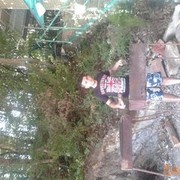  ,   , 32 ,   ,   , c 