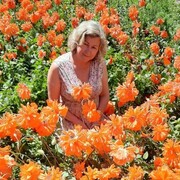 ���������� ����, ���� ������� �������, 56 ���, ������������ ��� ����� � ���������, c�������� ���������, ���������