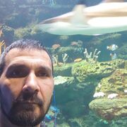 ���������� �����������, ���� ������� ������� ����, 44 ����, ������������ ��� ������, ����� � ���������