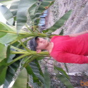  ,   941038505, 32 ,     , c 