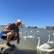 ���������� ������, ���� ������� �������, 53 ����, ������������ ��� ������, ����� � ���������