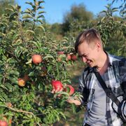 ���������� �����������, ���� ������� �����, 33 ����, ������������ ��� ����� � ���������, c�������� ���������, ���������