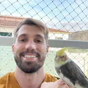 ���������� �������, ���� ������� ����, 35 ���, ������������ ��� ����� � ���������, c�������� ���������