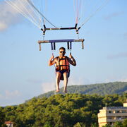  ?,   Ali Kemal, 42 ,   ,   