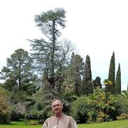 ���������� ���������, ���� ������� ������, 49 ���, ������������ ��� c�������� ���������