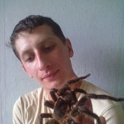  ,   , 37 ,   