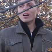  ,   , 41 ,   