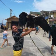  ,   , 41 ,     , 
