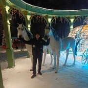 ���������� ������, ���� ������� ��������, 28 ���, ������������ ��� ������, ����� � ���������