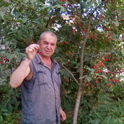  -,   , 56 ,   ,   , c 