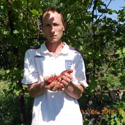 ,   , 53 ,   , 