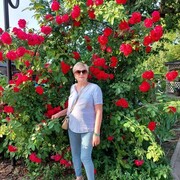 ���������� ��������, ���� ������� ���������, 57 ���, ������������ ��� ����� � ���������, c�������� ���������