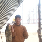  ,    , 51 ,   ,   , c 
