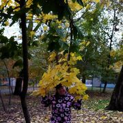  --,   , 38 ,   ,   , 