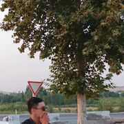 ,  Ali, 24