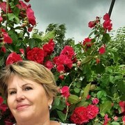 ���������� ��������, ���� ������� �������, 66 ���, ������������ ��� ������, ����� � ���������, c�������� ���������