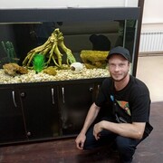 ���������� �����������, ���� ������� ������, 41 ���, ������������ ��� ������, ����� � ���������