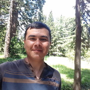  ,   Wolk, 36 ,     , c 