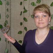 ���������� ����, ���� ������� �������, 51 ���, ������������ ��� ������, ����� � ���������, c�������� ���������