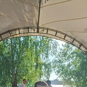  ,   Zav, 43 ,   ,   