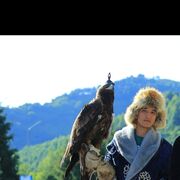  ,   Baxaaa, 29 ,   ,   