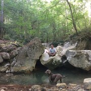 ���������� ����, ���� ������� ����, 37 ���, ������������ ��� ������, ����� � ���������