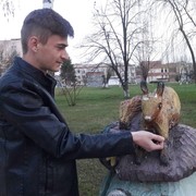  ,   , 31 ,   