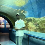  -,   Abiola, 30 ,   ,   