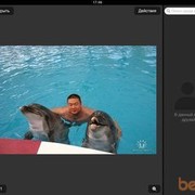 ���������� ���������, ���� ������� ������, 47 ���, ������������ ��� ������, ����� � ���������, c�������� ���������