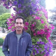 ���������� �������, ���� ������� �������, 41 ���, ������������ ��� ������, ����� � ���������, c�������� ���������, ���������