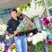  ,   Boss, 71 ,   