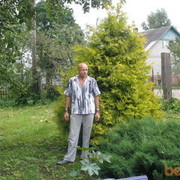  ,   Dzoni, 64 ,   ,   , c 