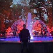 ���������� �������, ���� ������� ���������, 31 ���, ������������ ��� ������, ����� � ���������, c�������� ���������