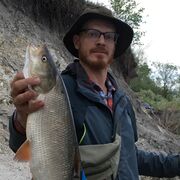 ���������� ��������, ���� ������� �����, 37 ���, ������������ ��� ����� � ���������, c�������� ���������