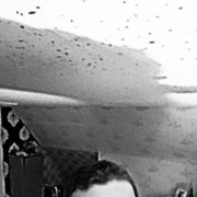  ,   Lev, 41 ,   ,   , c 