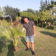  ,   , 41 ,   ,   , c , 