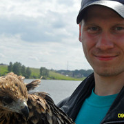 ���������� �������, ���� ������� ������, 36 ���, ������������ ��� ������, ����� � ���������, c�������� ���������