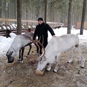 ���������� �����, ���� ������� ���������, 48 ���, ������������ ��� c�������� ���������