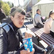  ,   DIMA, 31 ,   ,   