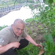 ���������� �����, ���� ������� ��������, 51 ���, ������������ ��� ����� � ���������, c�������� ���������