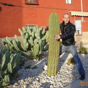  ,   Vladimer, 41 ,     , c 