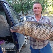  ,   , 53 ,   ,   
